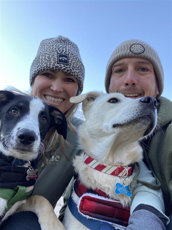 Two dogs